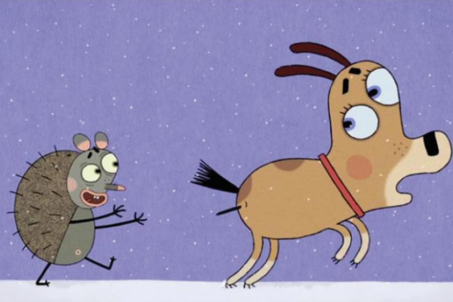 Festival Travelling Junior 1