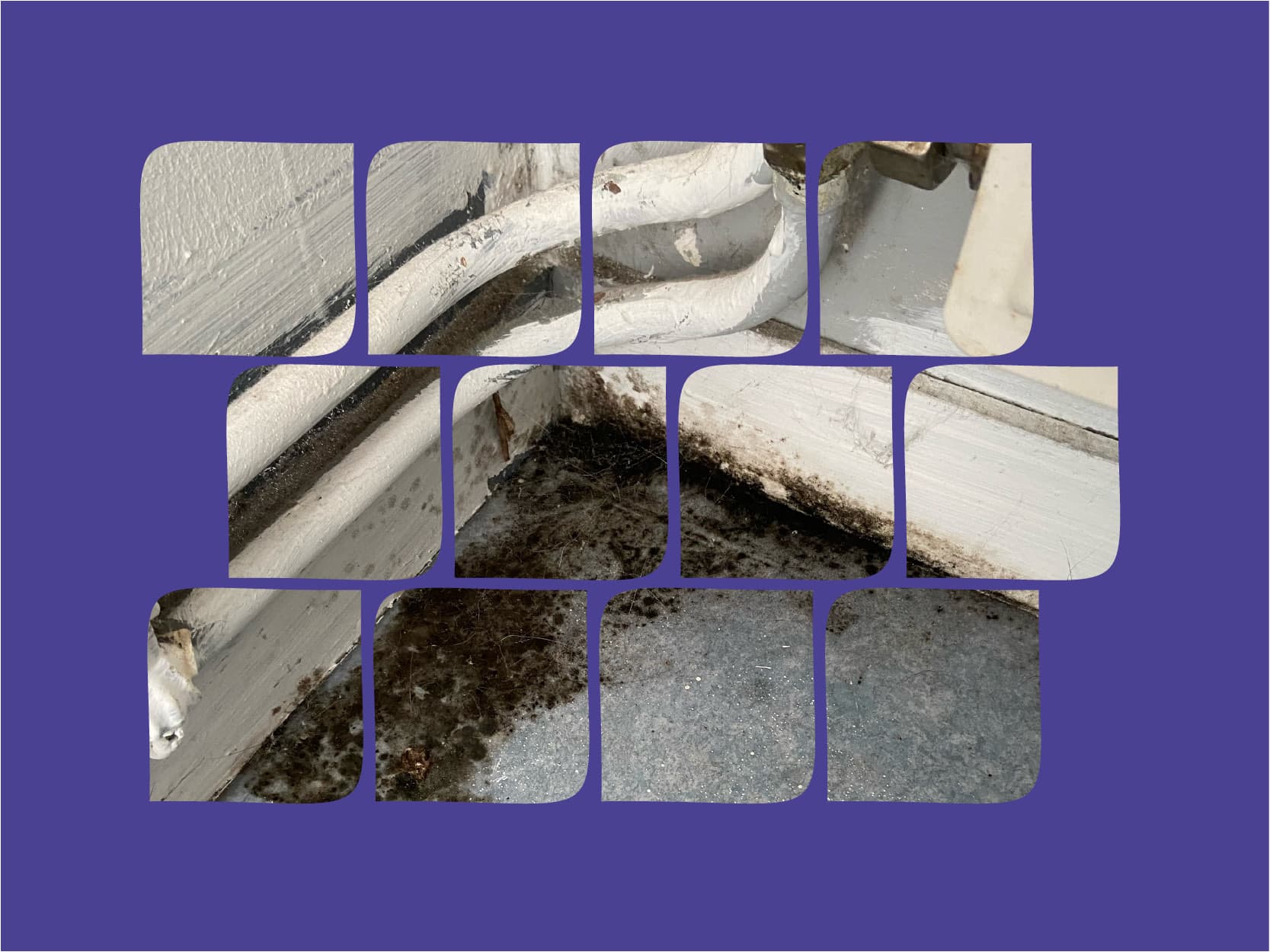 Visuel Site permanence juridique logement